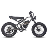 Fafrees F20 Ultra Electric Cargo Bike
